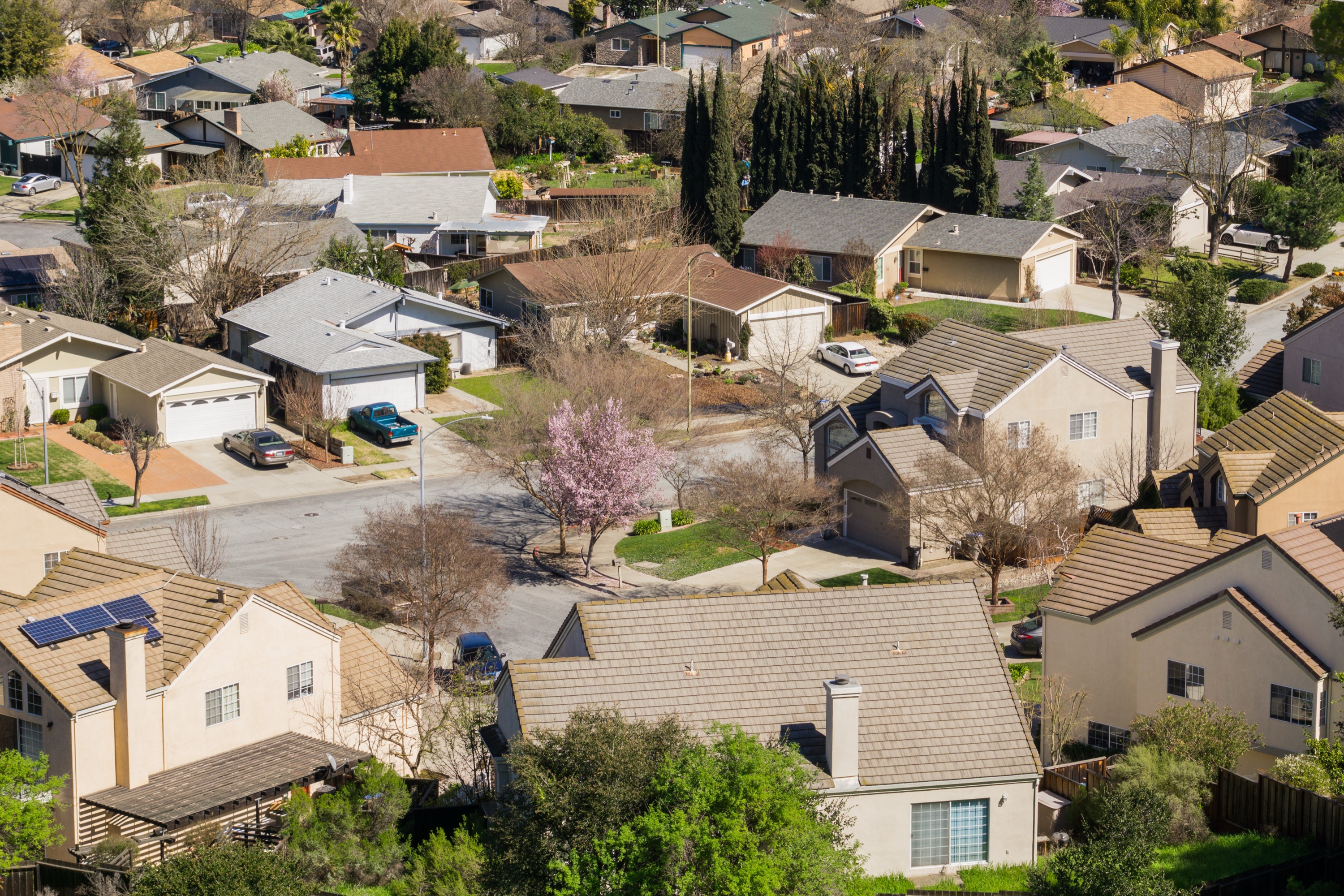 Aerial drone view of a tree-lined single-family residential neighborhood in San Jose, California