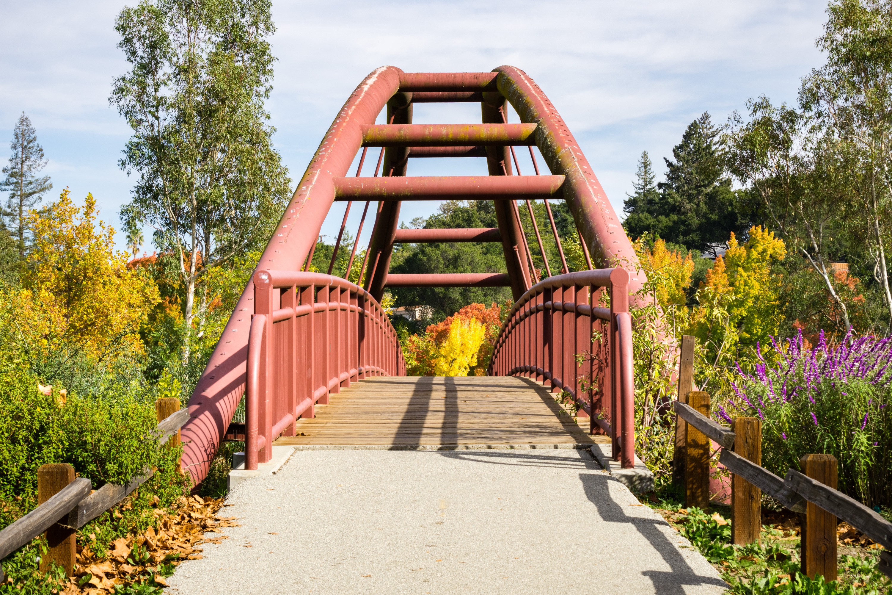 Footbridge at Vasona Lake County Park in Los Gatos