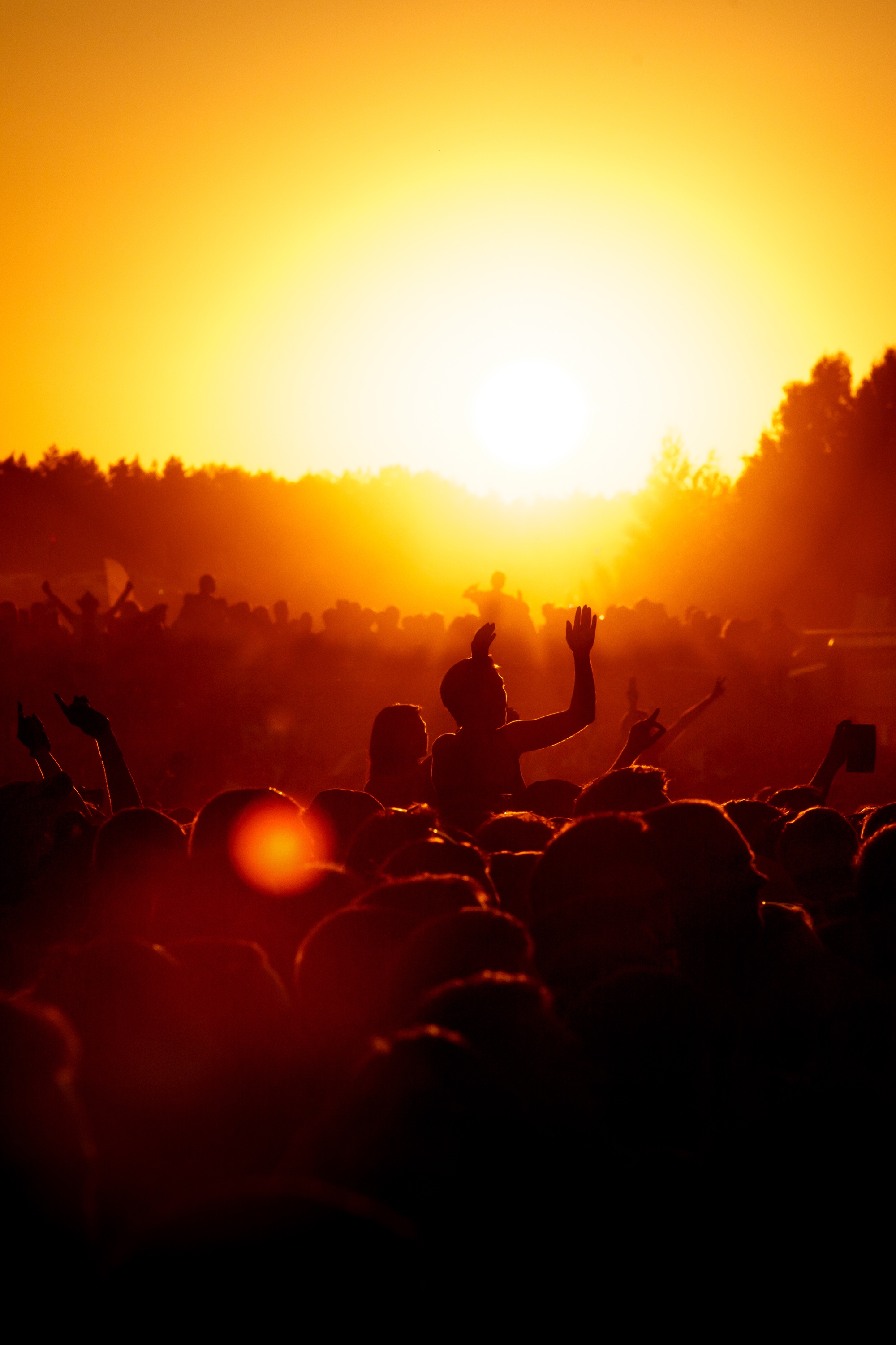 Outdoor concert silhouette at golden hour &mdash; Mountain Winery in Saratoga, Rodney Strong in Sonoma, and Wildhaven all bring this energy this weekend.