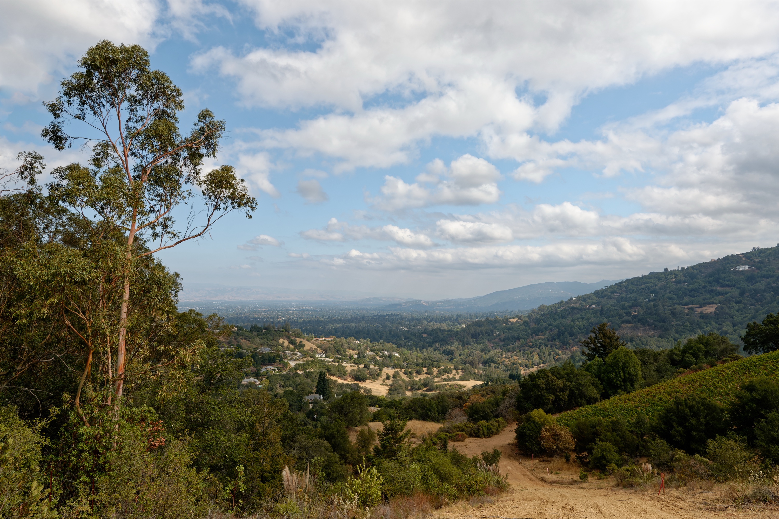 Rolling California hills above Saratoga near the Santa Cruz Mountains
