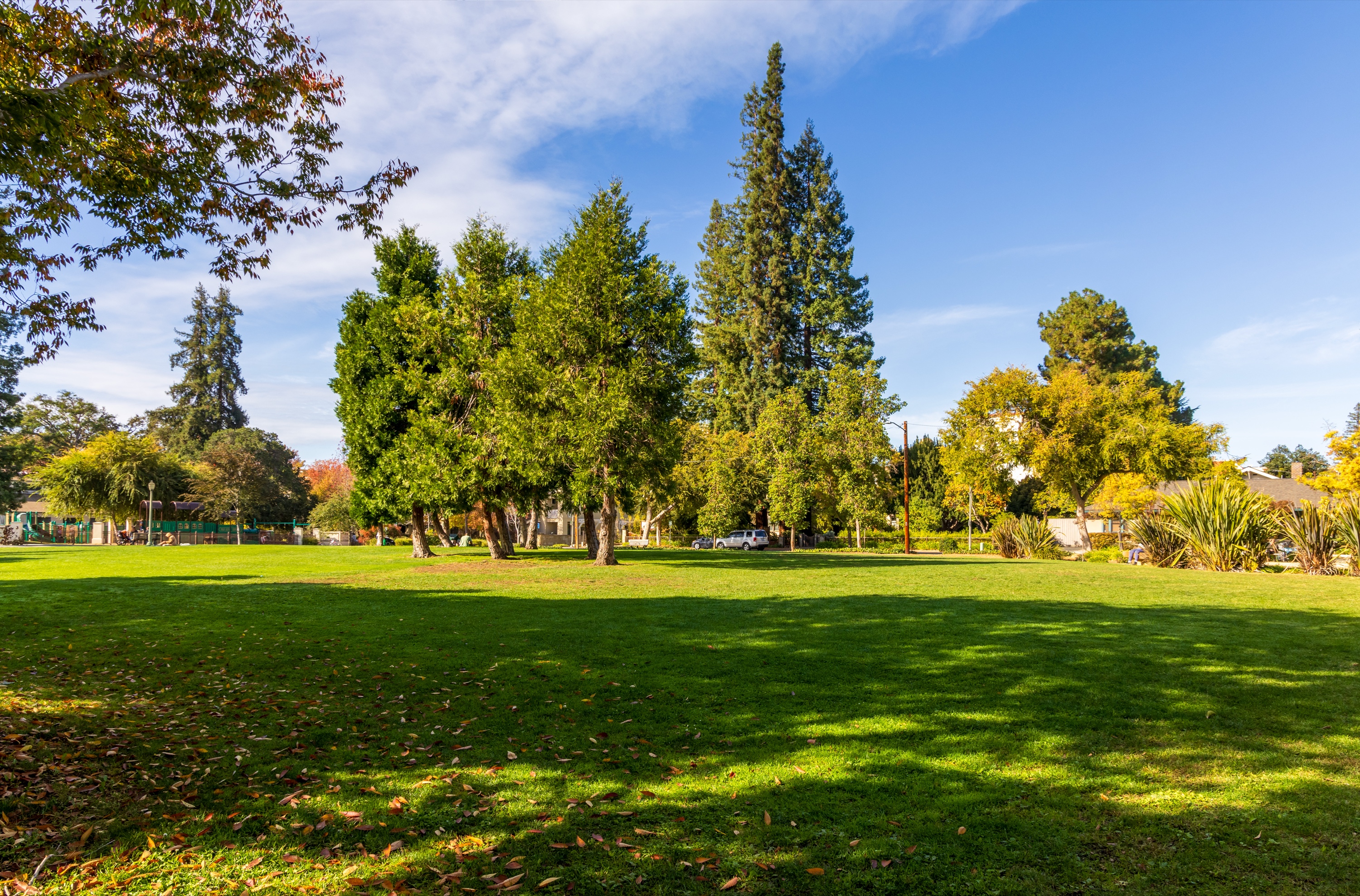 Green neighborhood park with mature trees and open lawn