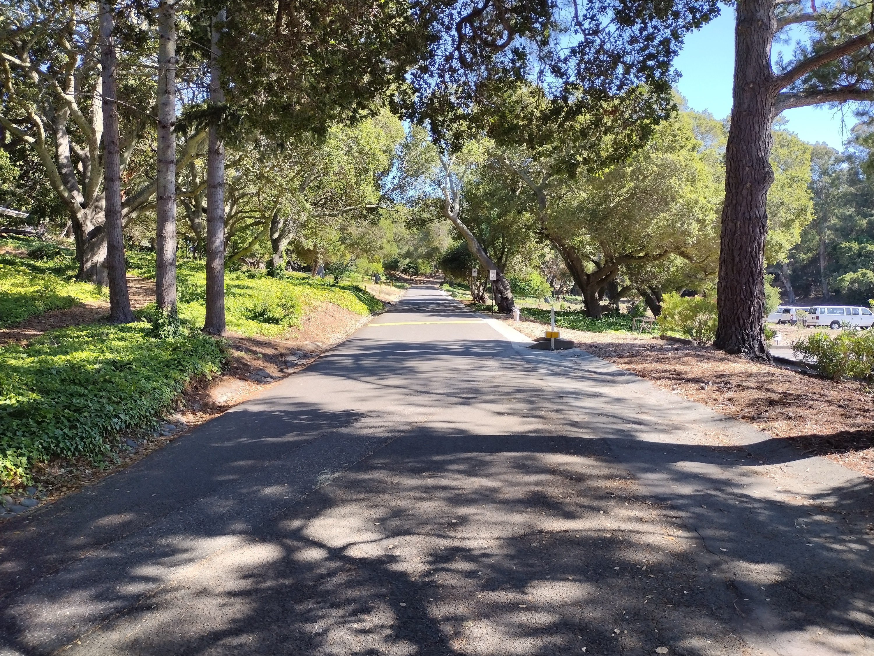 The historic Koch Mansion estate in Burlingame, California