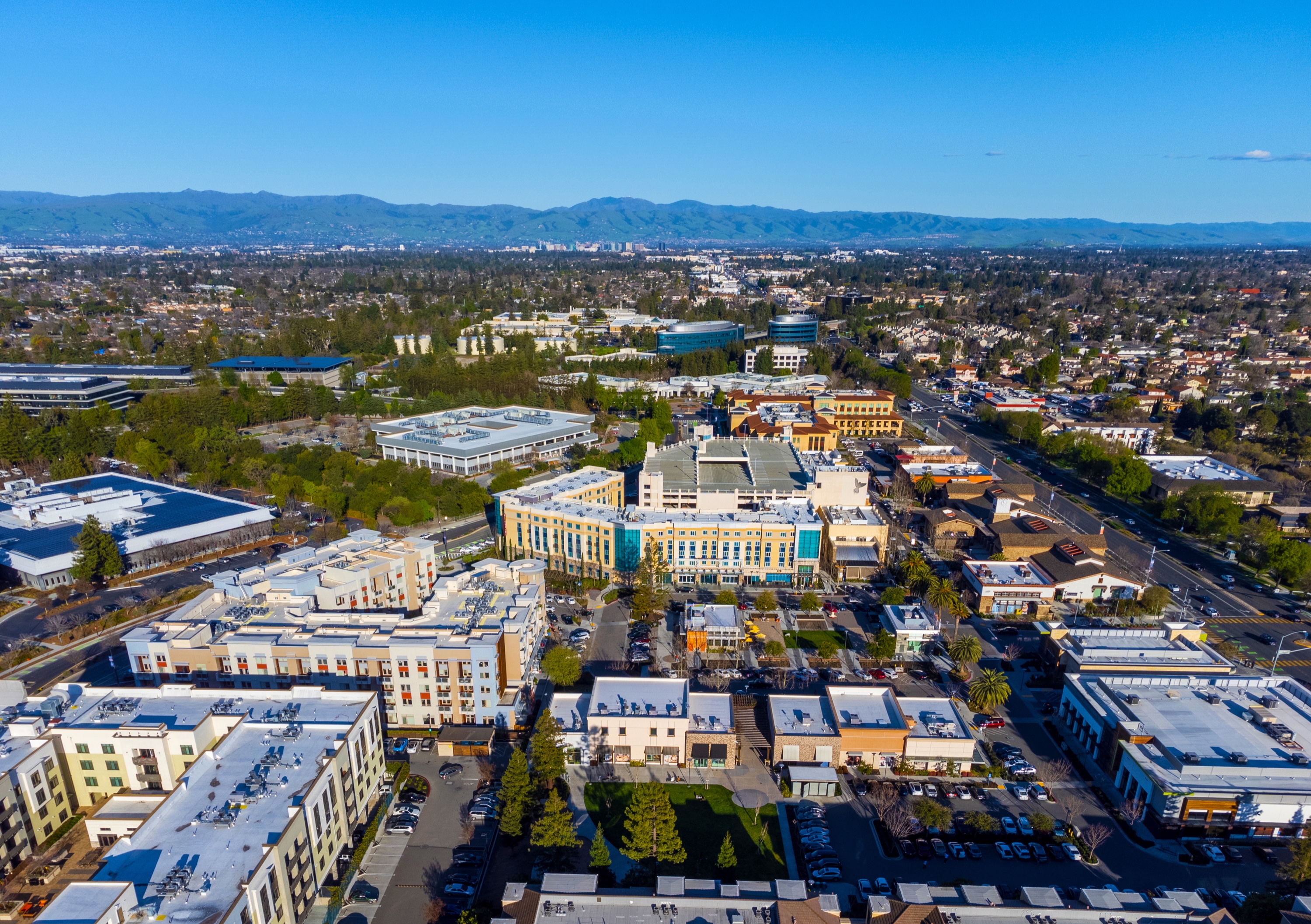 Aerial view of a tree-lined residential neighborhood in Cupertino, California