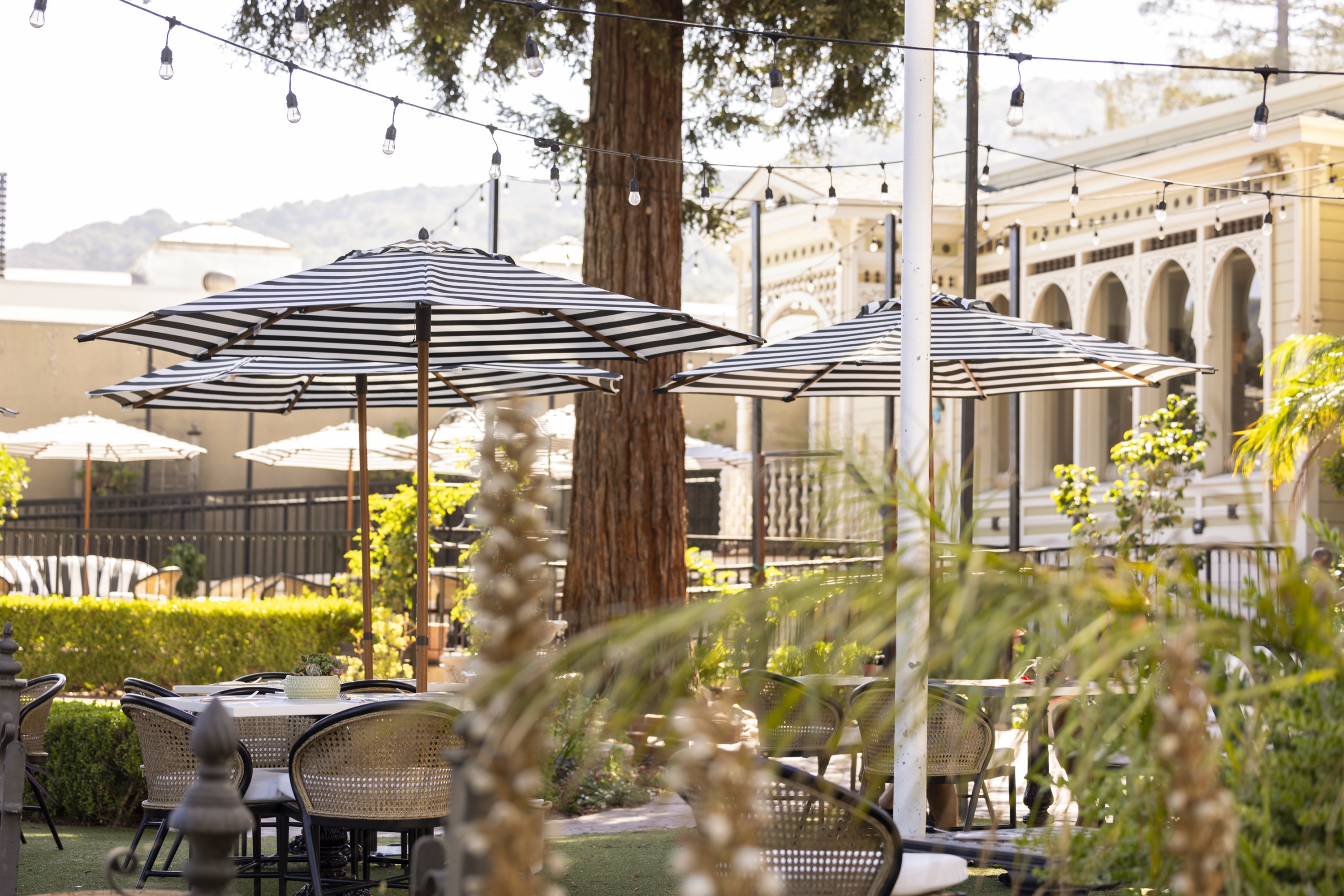 Al fresco patio dining under striped umbrellas in downtown Los Gatos on a sunny afternoon