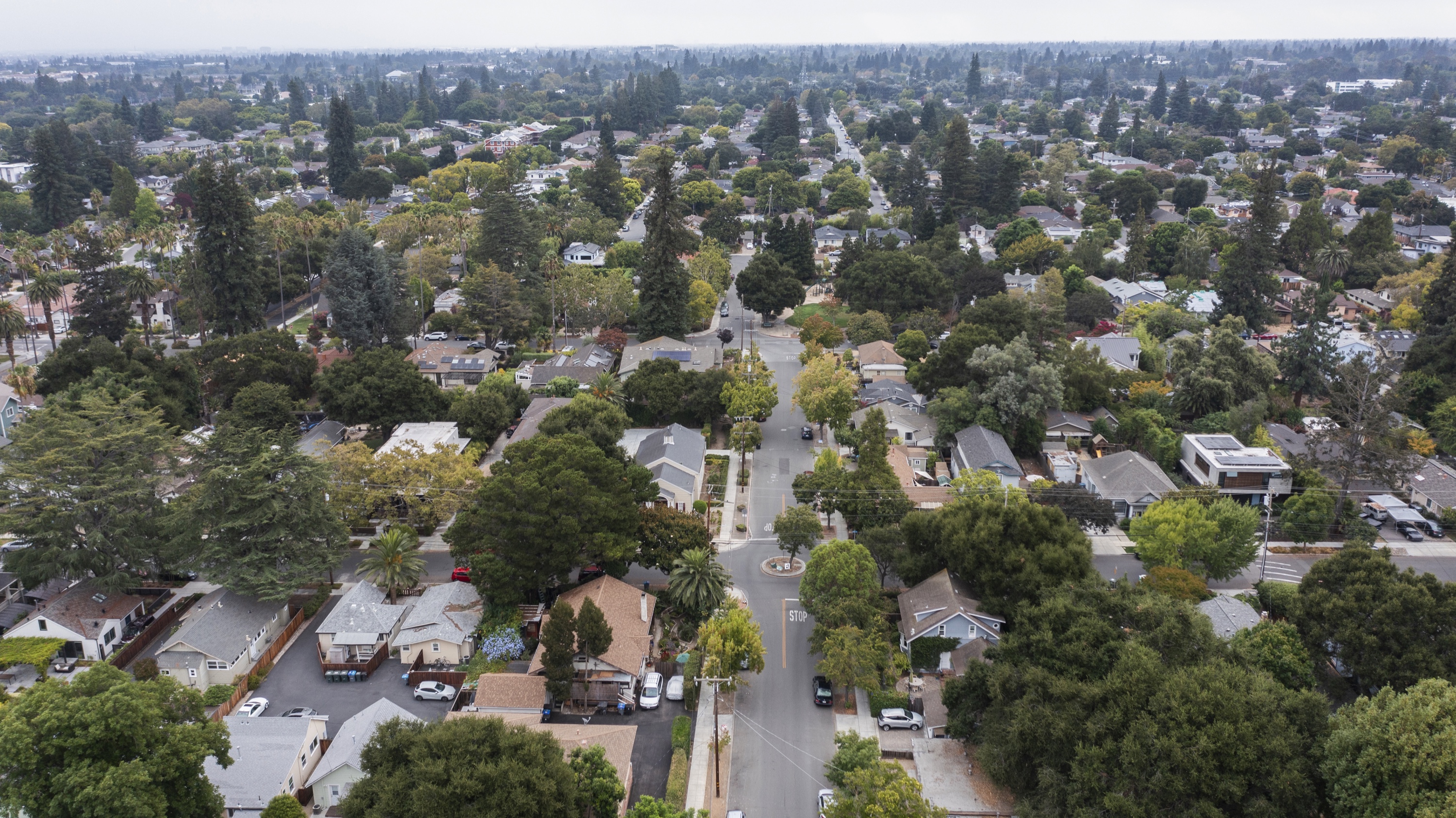 Tree-lined residential streets near downtown Mountain View